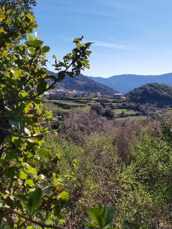 Casa Di Mela Panzió Porto-Vecchio  Kültér fotó